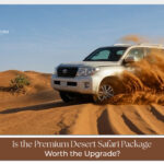 Dubai desert safari VIP experience