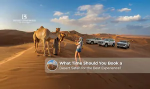 Tourists enjoying a Dubai desert safari during the ideal booking season