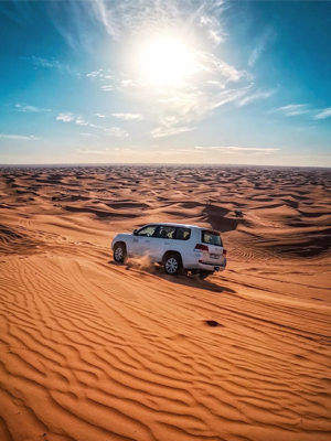 Morning Desert Safari