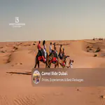 Camel Ride Dubai Guide.