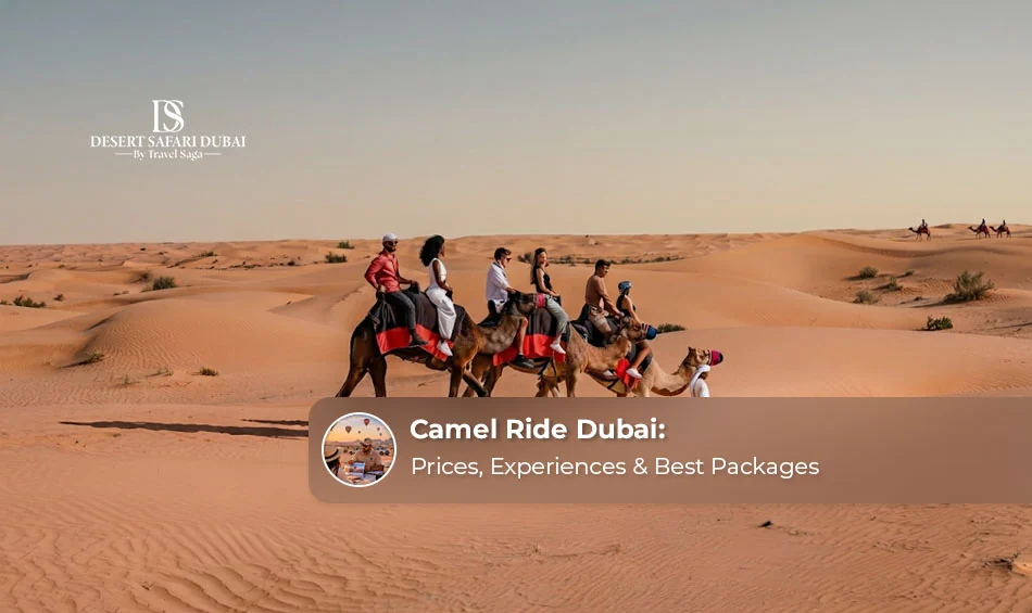 Camel Ride Dubai: Prices, Experiences & Best Packages 
