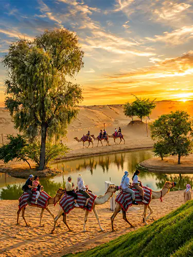Camel riding in Dubai desert safari