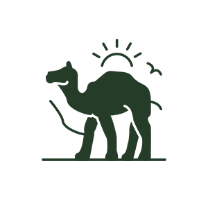 Camel Ride Dubai