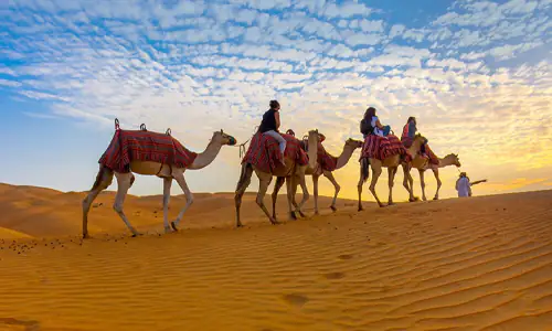 Camel Ride Dubai